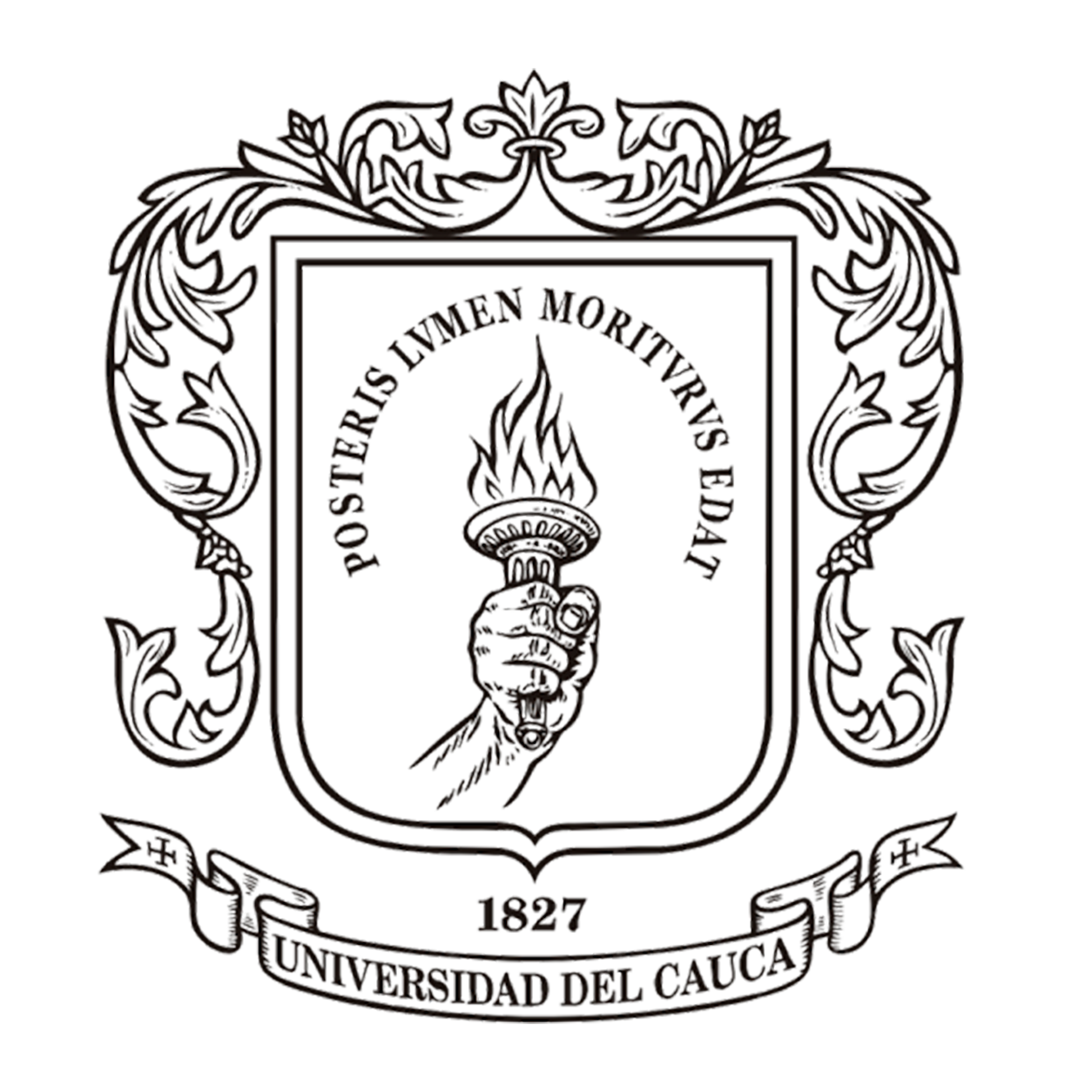 Universidad del Cauca